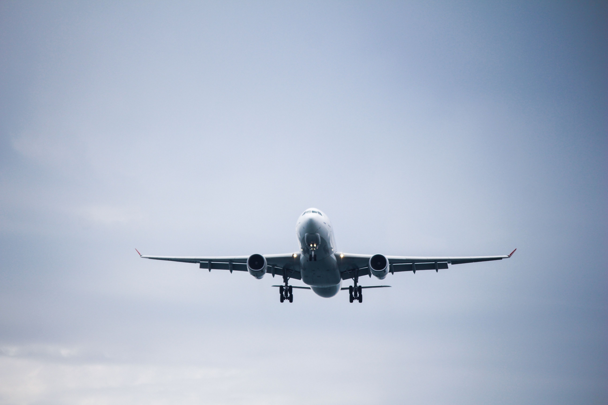 Expert Travel Support